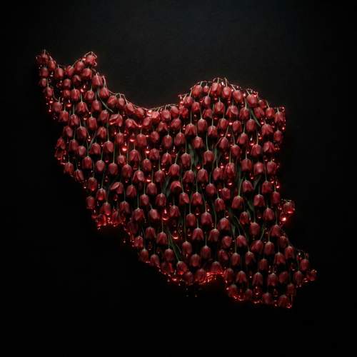 شروین حاجی پور ایرانم